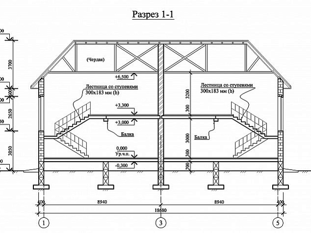 Проект Юпитер-1